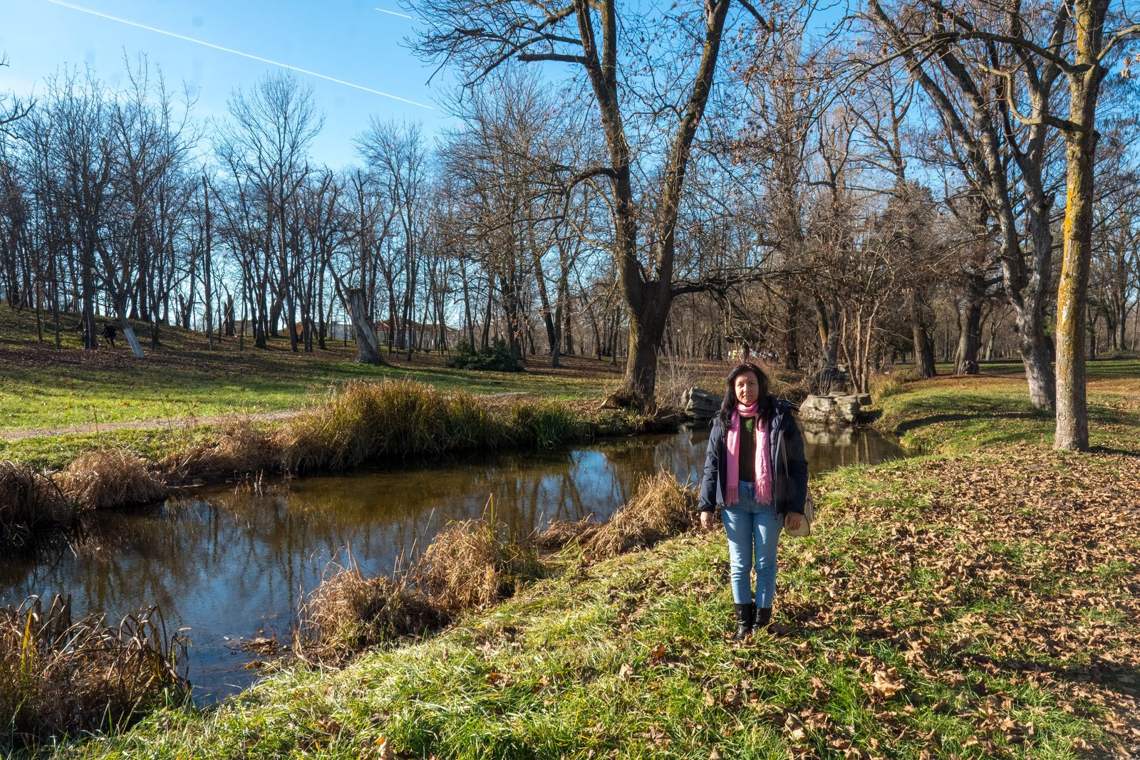 Iarna în parc, lângă pârâu, fular roz